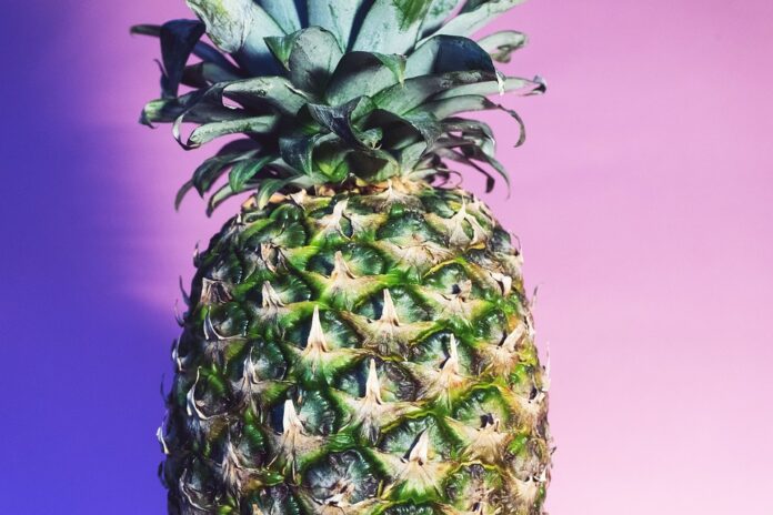 Top 10 fruit juice packaging export companies in Brazil