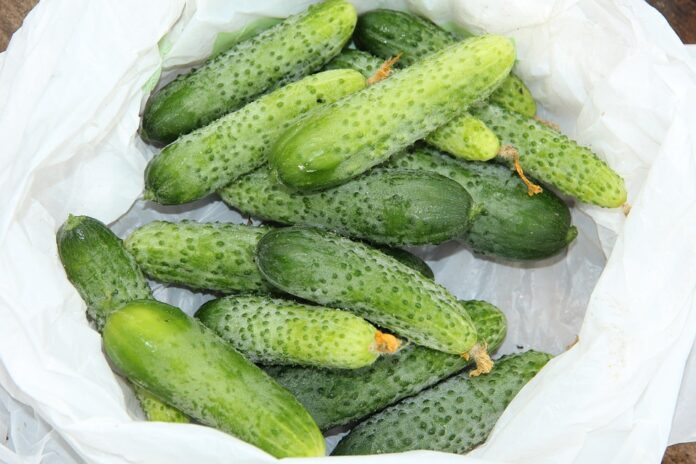Top 10 fruit packaging exporting countries in 2025