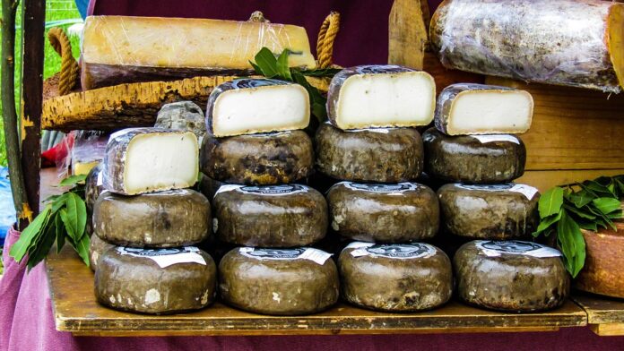 Top 10 functional cheese brands in Australia
