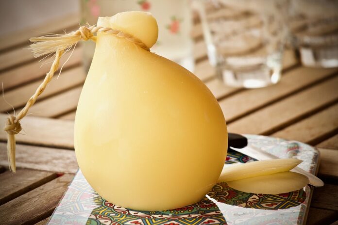 Top 10 functional cheese brands in the United States