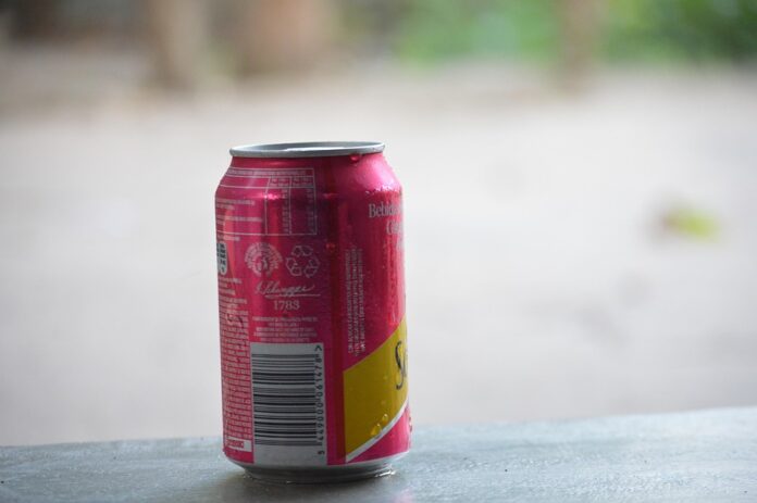 Top 10 ginger ale brands globally in 2025