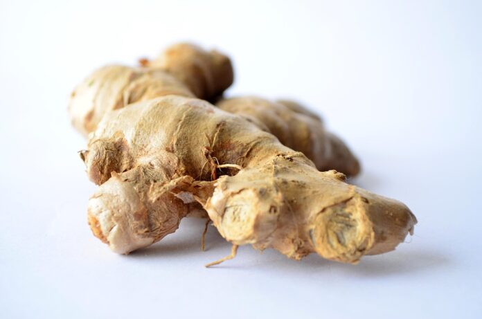 Top 10 ginger import companies in the United States