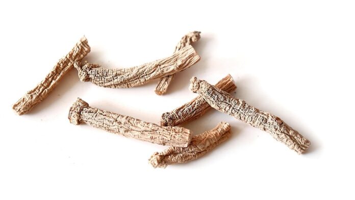 Top 10 ginseng brands in China
