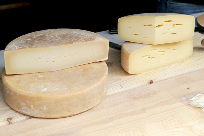 Top 10 gouda cheese export companies in Canada