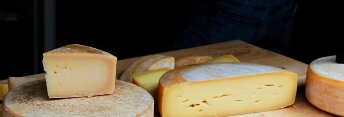 Top 10 gouda cheese import companies in Brazil
