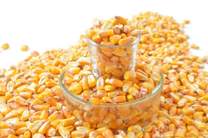 Top 10 grains packaging export companies in Germany