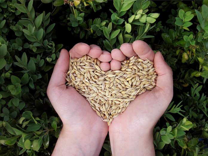 Top 10 grains packaging exporting countries in 2025