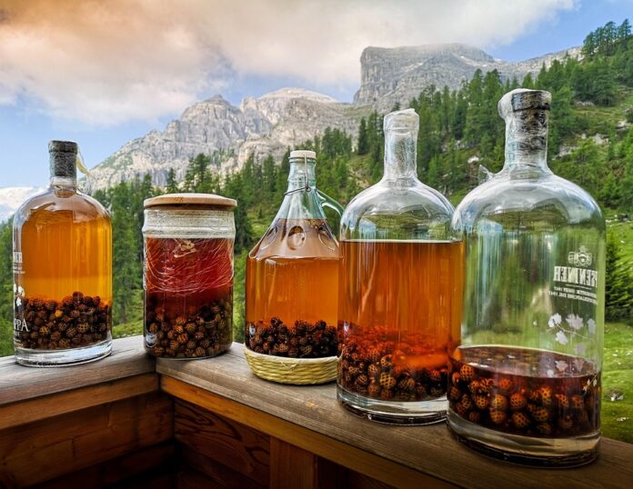 Top 10 grappa import companies in France