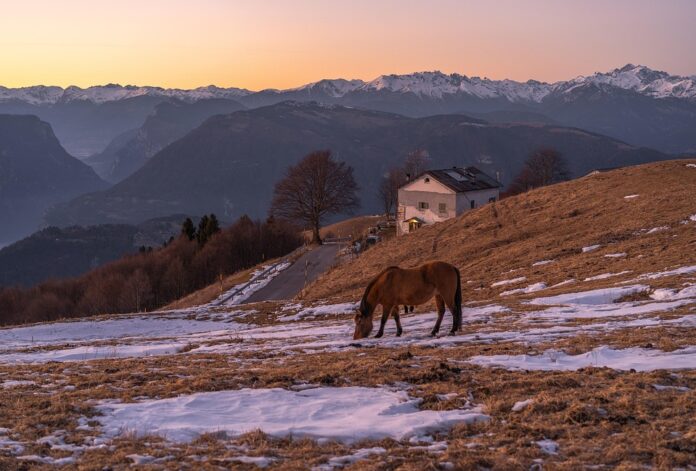 Top 10 grappa producing countries in the world in 2025