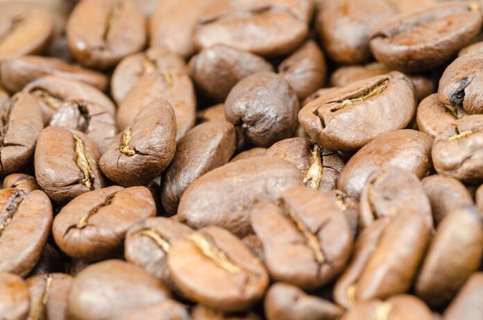 Top 10 green coffee importers in the United States