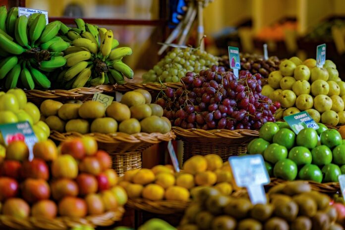 Top 10 grocery store brands in France by market share