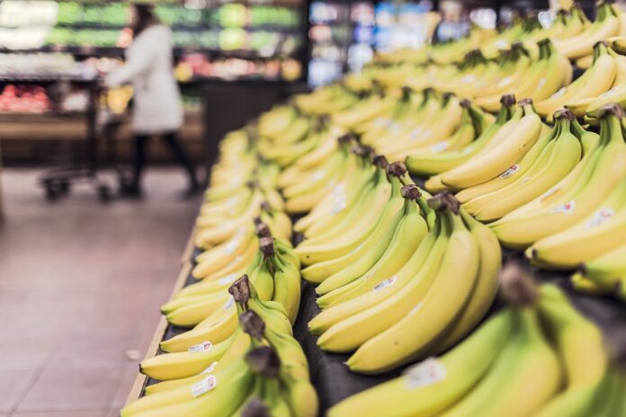 Top 10 grocery store brands in United States by market share