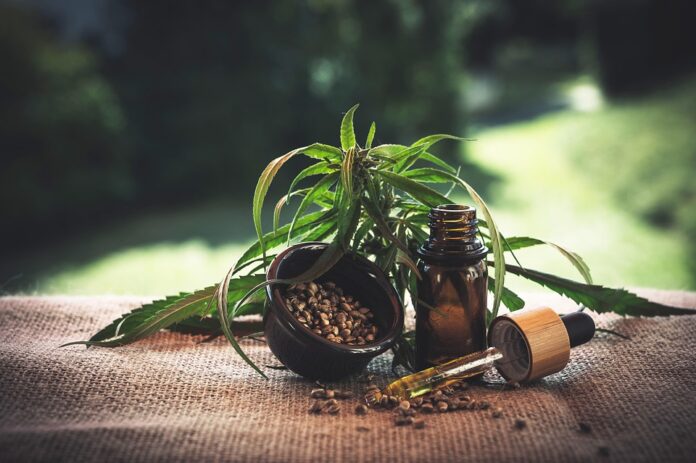 Top 10 hemp seed export companies in France