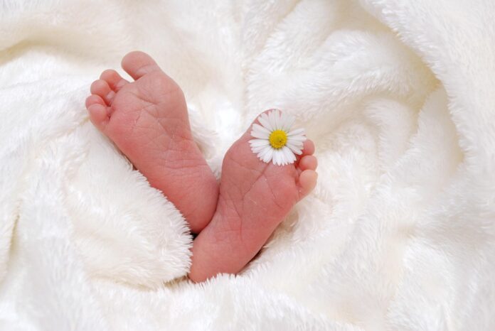 Top 10 high-protein meat puree baby food brands in 2025