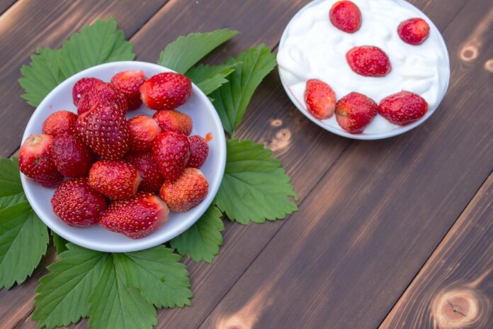 Top 10 high protein yogurt brands in Australia