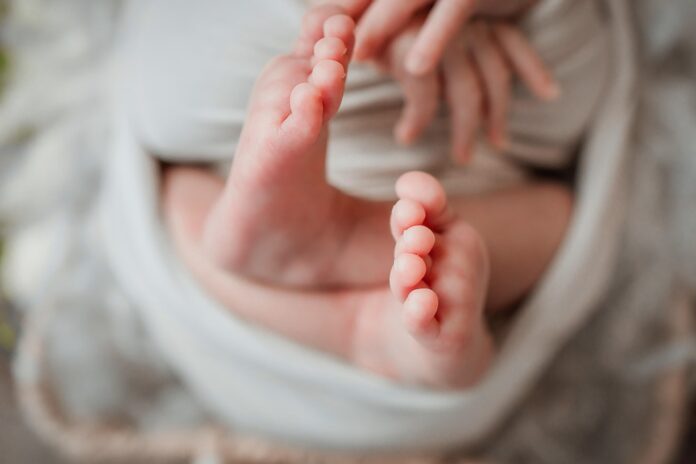 Top 10 infant nutrition brands in China