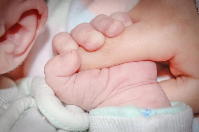 Top 10 infant nutrition export companies in the Netherlands
