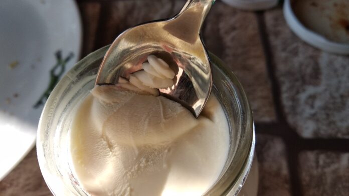 Top 10 keto friendly yogurt import companies in China