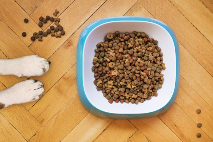 Top 10 kibble exporters globally in 2025