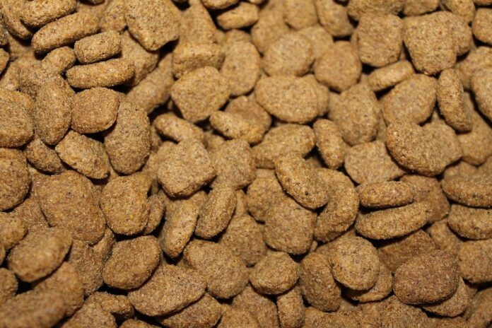 Top 10 kibble producers in France