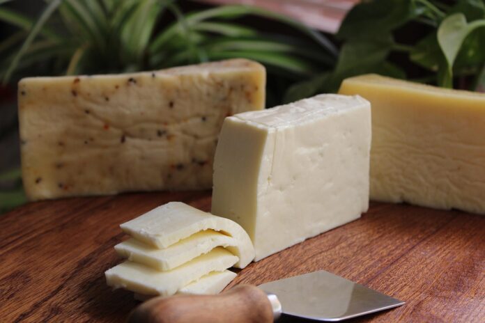 Top 10 kids cheese brands in the United States