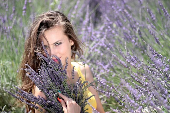 Top 10 lavender brands in Morocco