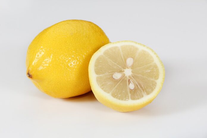Top 10 lemon-lime import companies in the United States