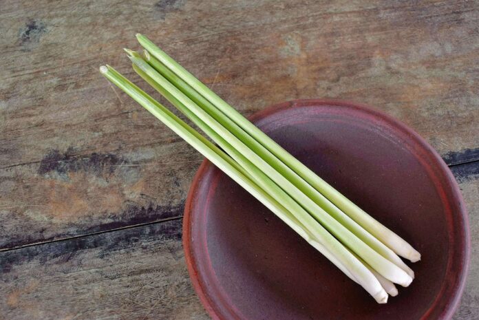 Top 10 lemongrass brands in Egypt