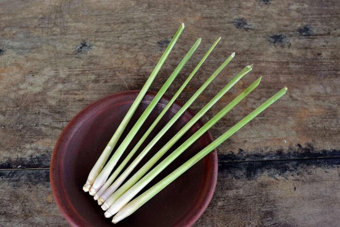 Top 10 lemongrass brands in Indonesia