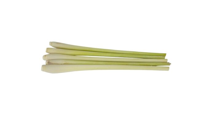 Top 10 lemongrass export companies in Indonesia