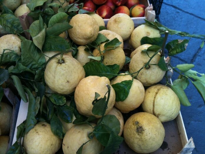 Top 10 limoncello import companies in South Korea