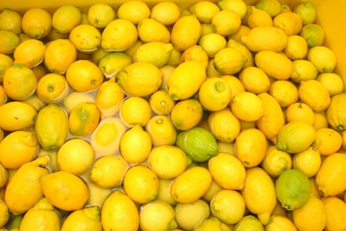Top 10 limoncello producers in the United States