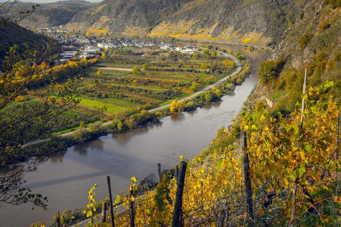 Top 10 low intervention wine producers in Australia