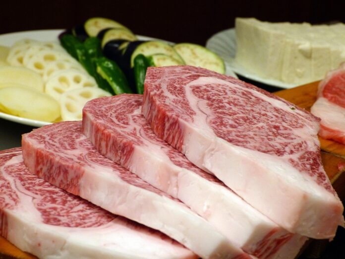 Top 10 meat extract companies in France
