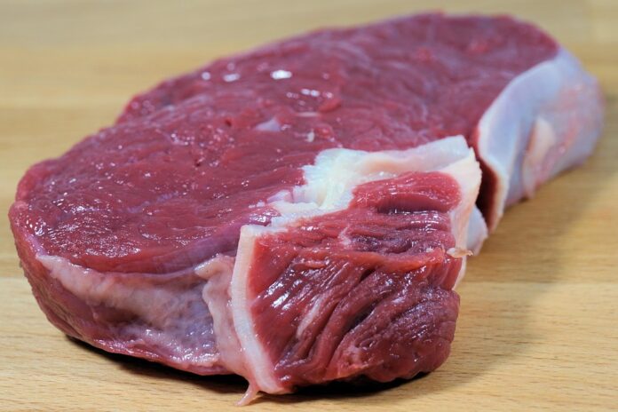 Top 10 meat extract import companies in the United States