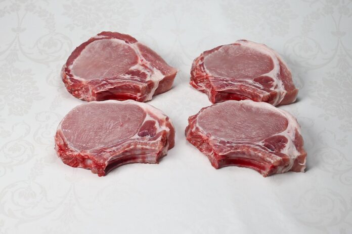 Top 10 meat extract importing countries in the world in 2025