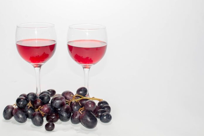Top 10 merlot wine producers in Argentina