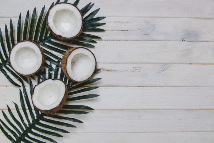 Top 10 milk powder export companies in New Zealand