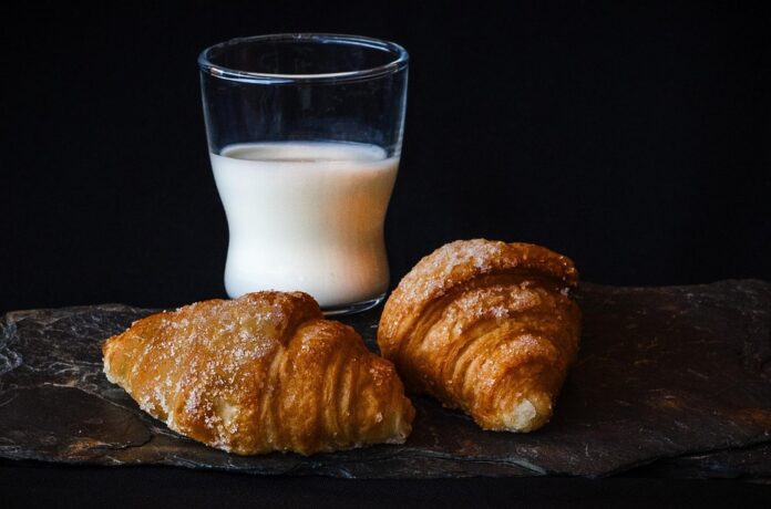 Top 10 milk protein export companies in France
