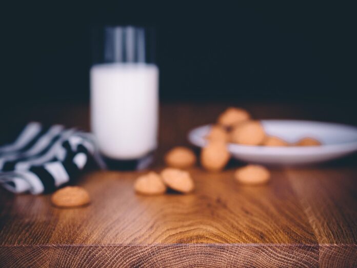 Top 10 milk protein export companies in Germany