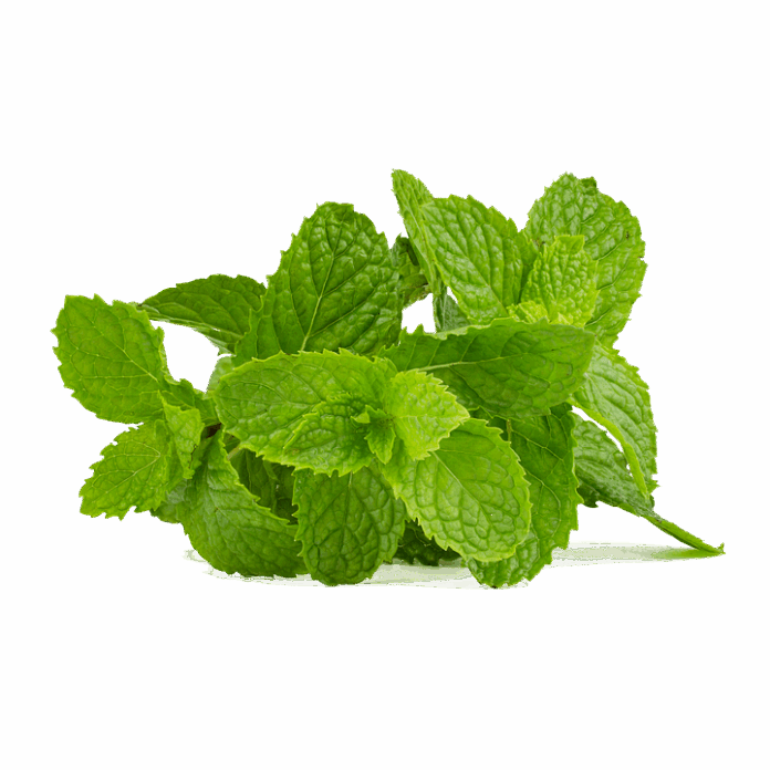 Top 10 mint export companies in India