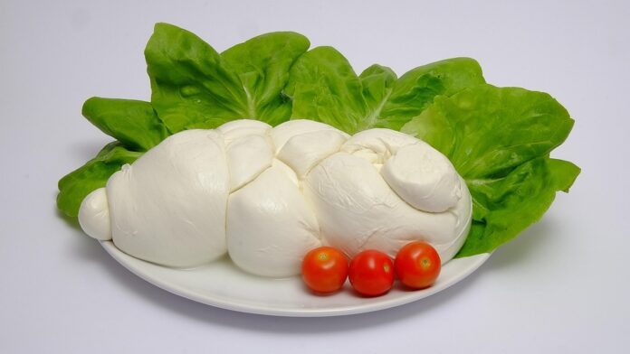 Top 10 mozzarella cheese brands in Italy