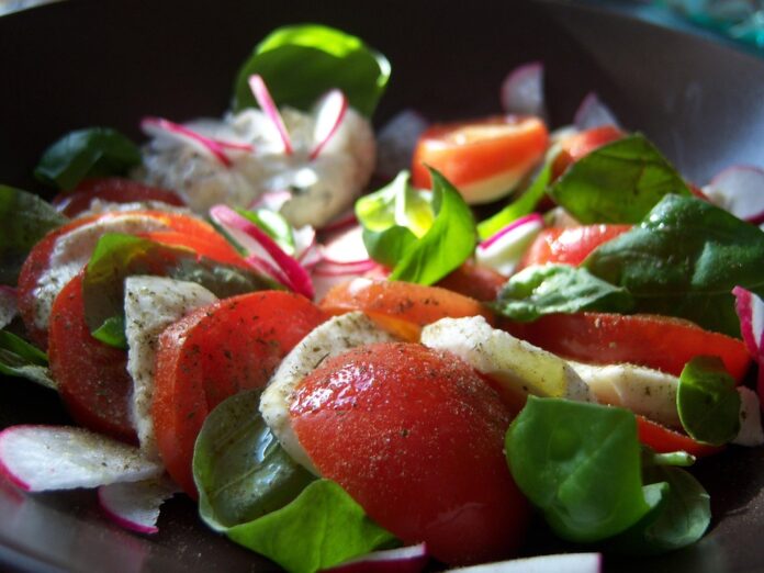 Top 10 mozzarella cheese export companies in the Netherlands