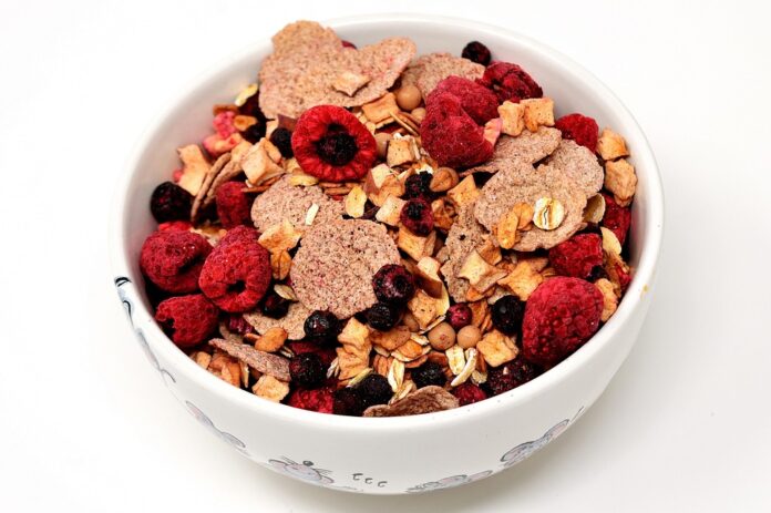 Top 10 muesli companies in United States in 2025