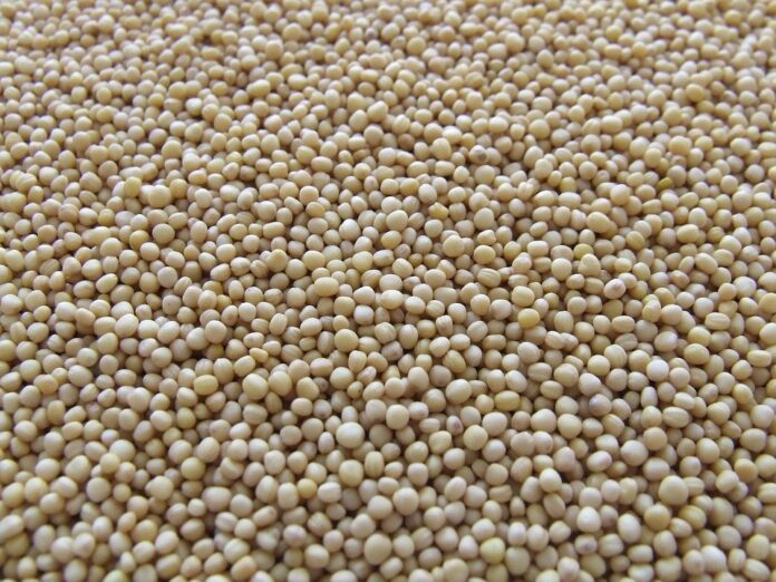 Top 10 mustard producers by international sales revenue