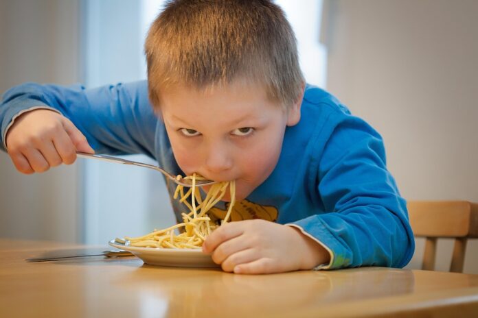 Top 10 noodle machine manufacturers in Italy