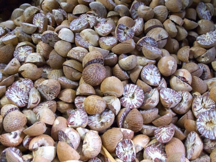 Top 10 nutmeg export companies in Vietnam