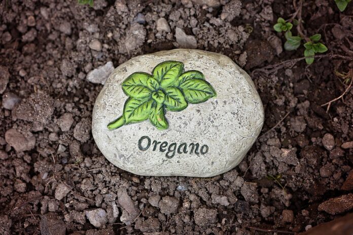Top 10 oregano brands in Egypt
