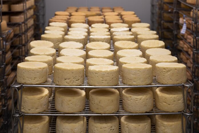 Top 10 organic cheese export companies in Australia