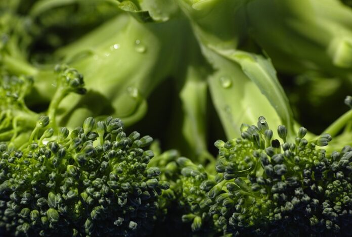 Top 10 organic food retailers in Canada by market share